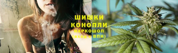 spice Алзамай