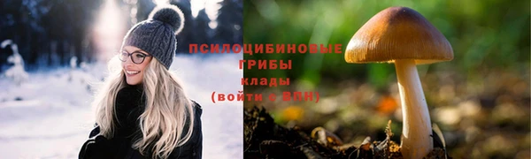 дурь Саяногорск